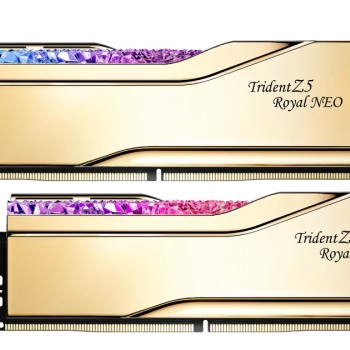 G.SKILL Trident Z5 Royal Neo DDR5 32GB (2x16GB) 8000MT/s CL38 Desktop Memory Kit – AMD EXPO Overclocking RAM, Gold Heatspreader, 1.45V High-Performance UDIMM